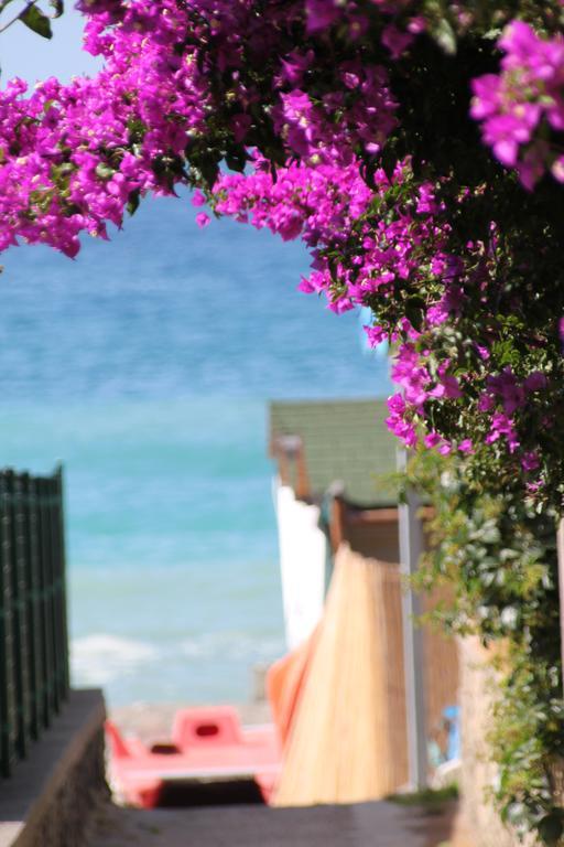 Hotel Maronti Barano dʼIschia Dış mekan fotoğraf